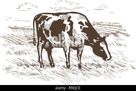 Le pâturage des vaches dans le pré. Paysage rural. Sketch Vintage vector illustration Illustration de Vecteur