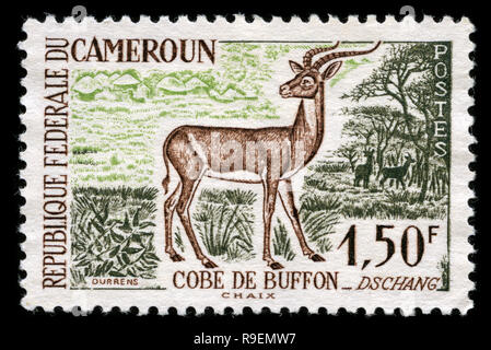 Timbre-poste du Cameroun dans les animaux série émise en 1962 Banque D'Images