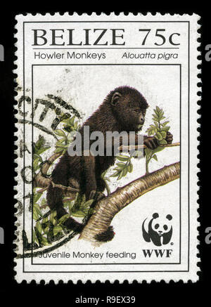 Timbre-poste du Belize par le WWF - singes hurleurs série émise en 1997 Banque D'Images