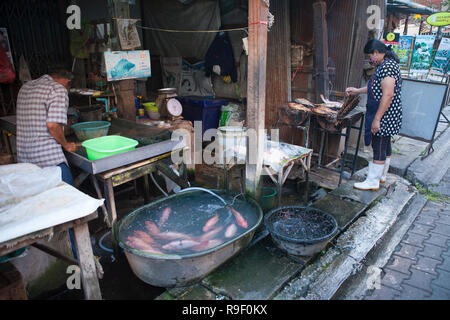 Décrochage du poisson, Mun Mueang Road, Chiang Mai, Thaïlande Banque D'Images