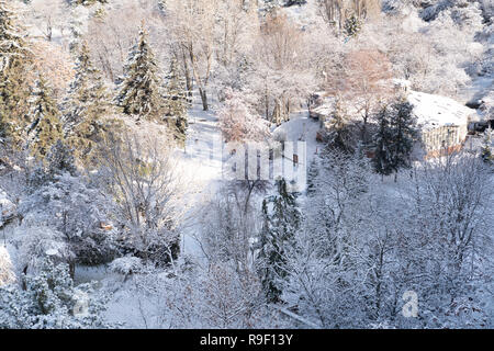 Ankara/Turkey-December 13 2018- Jardin botanique en hiver et les arbres sous la neige. Banque D'Images