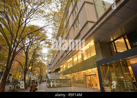 Rue Naka-Dori Marunouchi, Tokyo, Japon Banque D'Images