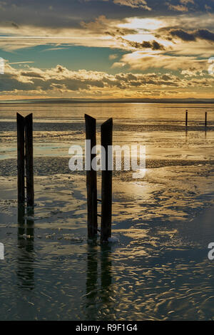 Les poteaux d'amarrage en bois altérés dans les bas-fonds partiellement gelés de Neusiedler voient sous un ciel doré spectaculaire dans le Burgenland, en Autriche Banque D'Images