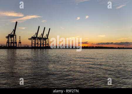 Hambourg, Allemagne - 11 novembre 2018 : vue panoramique de grues à port de Hambourg durng heure le coucher du soleil. Banque D'Images