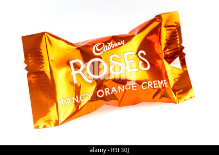 Orange acidulé Creme chocolat Cadbury's roses sur fond blanc Banque D'Images
