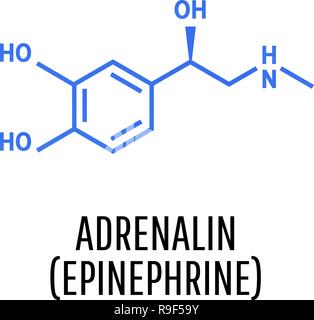 Adrénaline l'Adrénaline (épinéphrine), molécule isolé sur fond blanc. Icône vecteur. Illustration de Vecteur