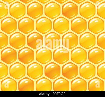 Les cellules de cire avec sweet bee honey,Vector - honeycomb isolated on white bavkground,les abeilles et le miel, les abeilles travail vectoriel sur Nid d'Bourdon,Clip Miel Illustration de Vecteur