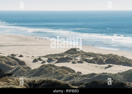 Vue d'un groupe de cavaliers sur leurs chevaux et un troupeau d'oiseaux au loin sur une plage près d'une courbe de la route 101 sur la côte de l'Oregon, USA Banque D'Images