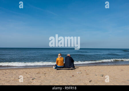 Couple de personnes âgées assis sur le bord de la mer avec petit chien, vue arrière Banque D'Images