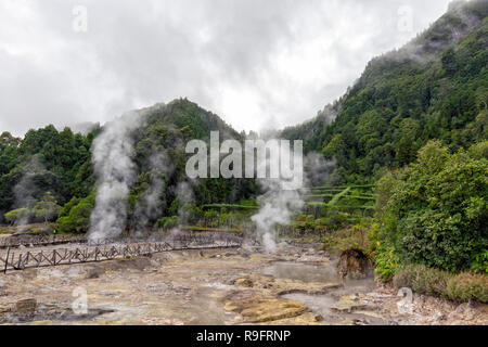 La vapeur s'élève à l'Fumarolas da Lagoa das Furnas, près de la ville de Frunas à Sao Miguel. Banque D'Images