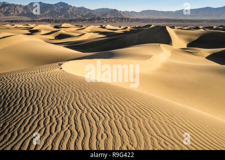 Le mesquite Dunes sont situées dans la région de Stovepipe Wells de la Death Valley National Park en Californie.