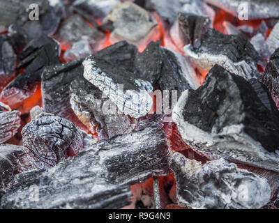 OLYMPUS DIGITAL CAMERA Banque D'Images