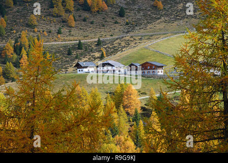 Randonnée dans la zone 'Appartement inge' avec d'impressionnants paysages d'automne, Alpes Sarntal, Tyrol du Sud, Italie Banque D'Images