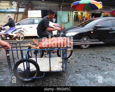 Quezon City, Philippines. 15 mars, 2012. L'lechons transportés par un side-car. Le Lechon sera ensuite vendu comme un aliment traditionnel pour la fête de Noël. Credit : Josefiel Rivera SOPA/Images/ZUMA/Alamy Fil Live News Banque D'Images
