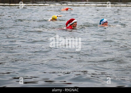 Londres, Royaume-Uni. Dec 25, 2018. Les membres du Club de natation de Serpentine participer à la traditionnelle 100 verges de Peter Pan le jour de Noël La Race à Hyde Park, Londres. Credit : Cady Hareng/Alamy Live News Banque D'Images