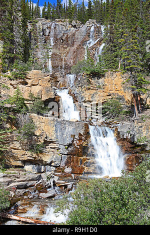 Chutes Tangle dans le parc national Jasper, Alberta, Canada une délicate cascade à plusieurs niveaux Banque D'Images