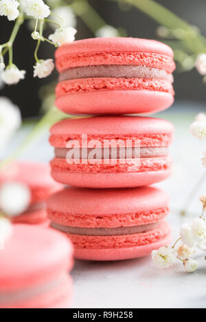 Pile de gâteaux macarons macarons de corail ou sur du marbre blanc avec des fleurs en plus. Banque D'Images