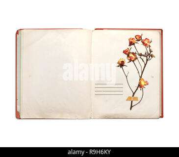 Vieux livre et fleurs séchées de rose. Objets isolé sur fond blanc Banque D'Images