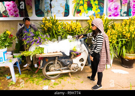 HANOI, VIETNAM - 14 février : vendeuse de fleurs non identifiées à l'Quang Ba marché aux fleurs le 14 février 2018 à Hanoi, Vietnam en Asie Banque D'Images