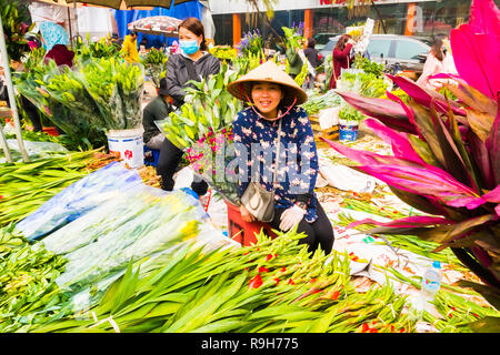 HANOI, VIETNAM - 14 février : vendeuse de fleurs non identifiées à l'Quang Ba marché aux fleurs le 14 février 2018 à Hanoi, Vietnam en Asie Banque D'Images