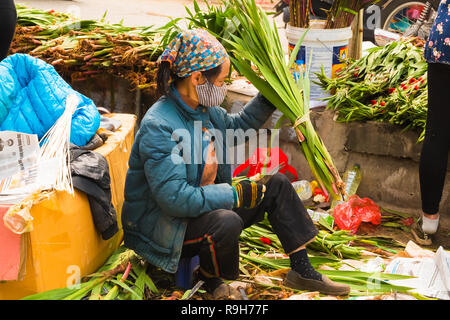 HANOI, VIETNAM - 14 février : vendeuse de fleurs non identifiées à l'Quang Ba marché aux fleurs le 14 février 2018 à Hanoi, Vietnam en Asie Banque D'Images