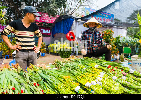 HANOI, VIETNAM - 14 février : vendeuse de fleurs non identifiées à l'Quang Ba marché aux fleurs le 14 février 2018 à Hanoi, Vietnam en Asie Banque D'Images