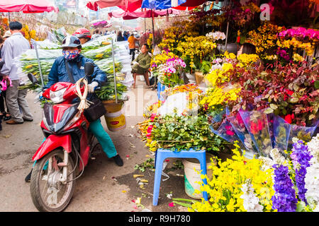 HANOI, VIETNAM - 14 février : vendeuse de fleurs non identifiées à l'Quang Ba marché aux fleurs le 14 février 2018 à Hanoi, Vietnam en Asie Banque D'Images