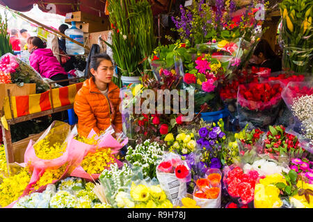 HANOI, VIETNAM - 14 février : vendeuse de fleurs non identifiées à l'Quang Ba marché aux fleurs le 14 février 2018 à Hanoi, Vietnam en Asie Banque D'Images