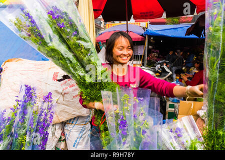 HANOI, VIETNAM - 14 février : vendeuse de fleurs non identifiées à l'Quang Ba marché aux fleurs le 14 février 2018 à Hanoi, Vietnam en Asie Banque D'Images