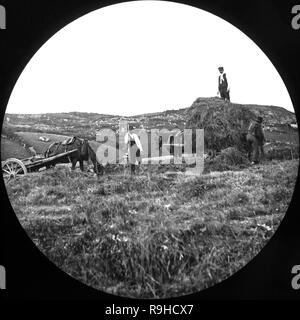 A la fin de 1970 Photographie noir et blanc montrant le foin d'être recueillies dans une ferme en Angleterre. Image montre trois personnes qui travaillent, le chargement du foin sur deux charrettes à cheval. Banque D'Images