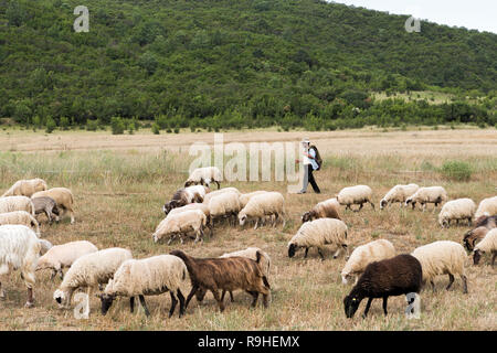 Troupeau de moutons et chèvres près du pont de la rivière Vjosa Albanie Banque D'Images