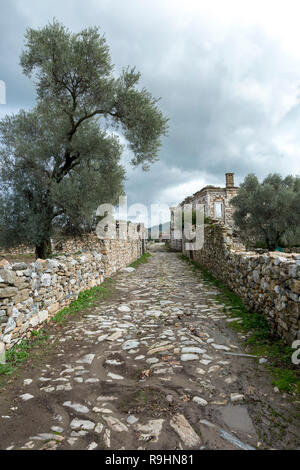 Stratonikeia est une ville ancienne, située à l'intérieur de la région Caria. Il est maintenant situé au Village d'aujourd'Eskihisar (Province de Mugla). Banque D'Images