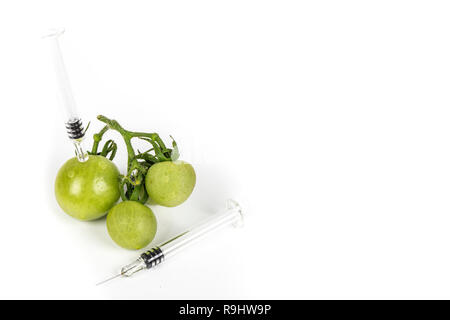 Petites tomates vert raisin à seringue. Les aliments biologiques, non Concept organisme génétiquement modifié. Sur fond blanc. Place d'écrire Banque D'Images