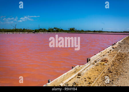 La production de sel rouge à Porto Rico piscine lac Banque D'Images