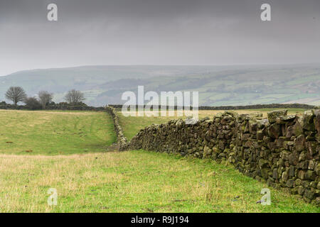 Vieux Mur de pierre Paysage dans le parc national des North Yorkshire Moors Banque D'Images