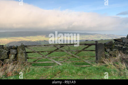 Vieux Mur de pierre Paysage dans le parc national des North Yorkshire Moors Banque D'Images