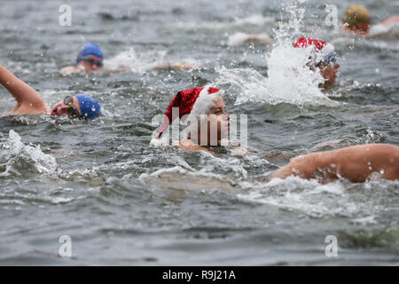 Les nageurs du club de natation de Serpentine prendre part à la Peter Pan cup race, qui a lieu chaque jour de Noël à la Serpentine, dans le centre de Londres. Banque D'Images