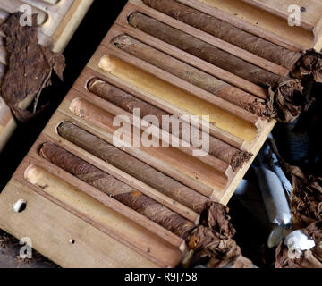 Libre de cigares faits à la main à partir de feuilles de tabac cubain. Fabrication artisanale de cigares à Cuba Banque D'Images