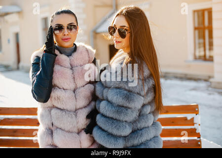 Deux élégants et de magnifiques filles en manteaux de fourrure élégante de marcher dans le parc d'hiver Banque D'Images