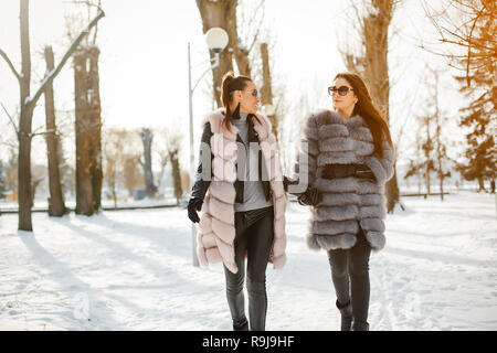 Deux élégants et de magnifiques filles en manteaux de fourrure élégante de marcher dans le parc d'hiver Banque D'Images