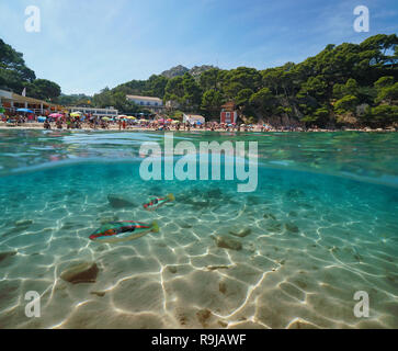 Espagne Costa Brava beach de touristes en été et les poissons sous l'eau, vue fractionnée ci-dessus et ci-dessous, la surface de la mer Méditerranée, la Catalogne, Aiguablava Banque D'Images