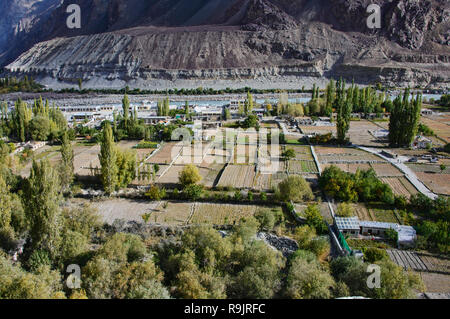 Les champs fertiles dans le village de Balti, Turtuk le long des fleuves Shyok River et plage de Karakoram, Ladakh, Inde Banque D'Images