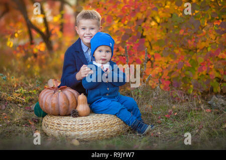 Deux beaux frères mignon assis sur citrouille en forêt d'automne seulement. Banque D'Images