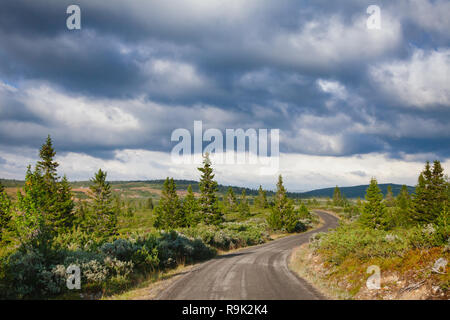 Paysage d'été norvégien avec des nuages de pluie et ciel sombre sur la route de campagne sinueuse de l'Est de l'Oppland en Norvège, Scandinavie Banque D'Images