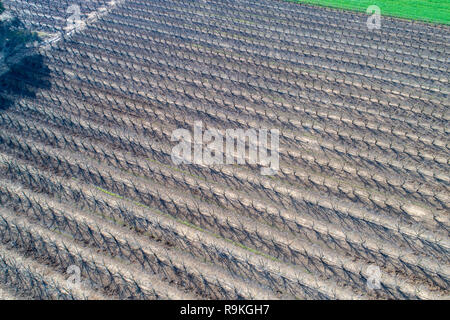Vue aérienne des terres agricoles et la nature dans le centre d'Israël le long du ruisseau Yarkon. Photographié en hiver en Février Banque D'Images
