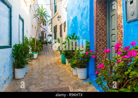 Rue romantique, pots de plantes et fleurs en blanc médina d'Asilah au Maroc Banque D'Images