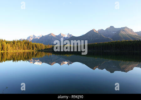 Herbert Lake est un lac alimenté par les glaciers dans le parc national de Banff dans les Rocheuses canadiennes, le long de la promenade des Glaciers, l'Alberta Highway # 93. Banque D'Images