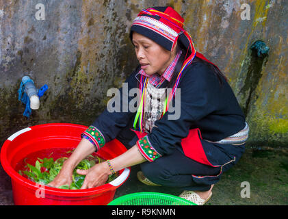 Femme de la minorité Dao rouge dans un village près de Ha Giang au Vietnam Banque D'Images