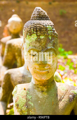 Ancienne statue de Bouddha Thaï Wat Umong temple à Chiang Mai en Thaïlande Banque D'Images