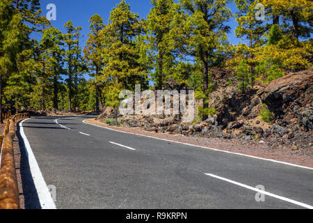 Road à Tenerife Parc National. Canaries, Espagne Banque D'Images